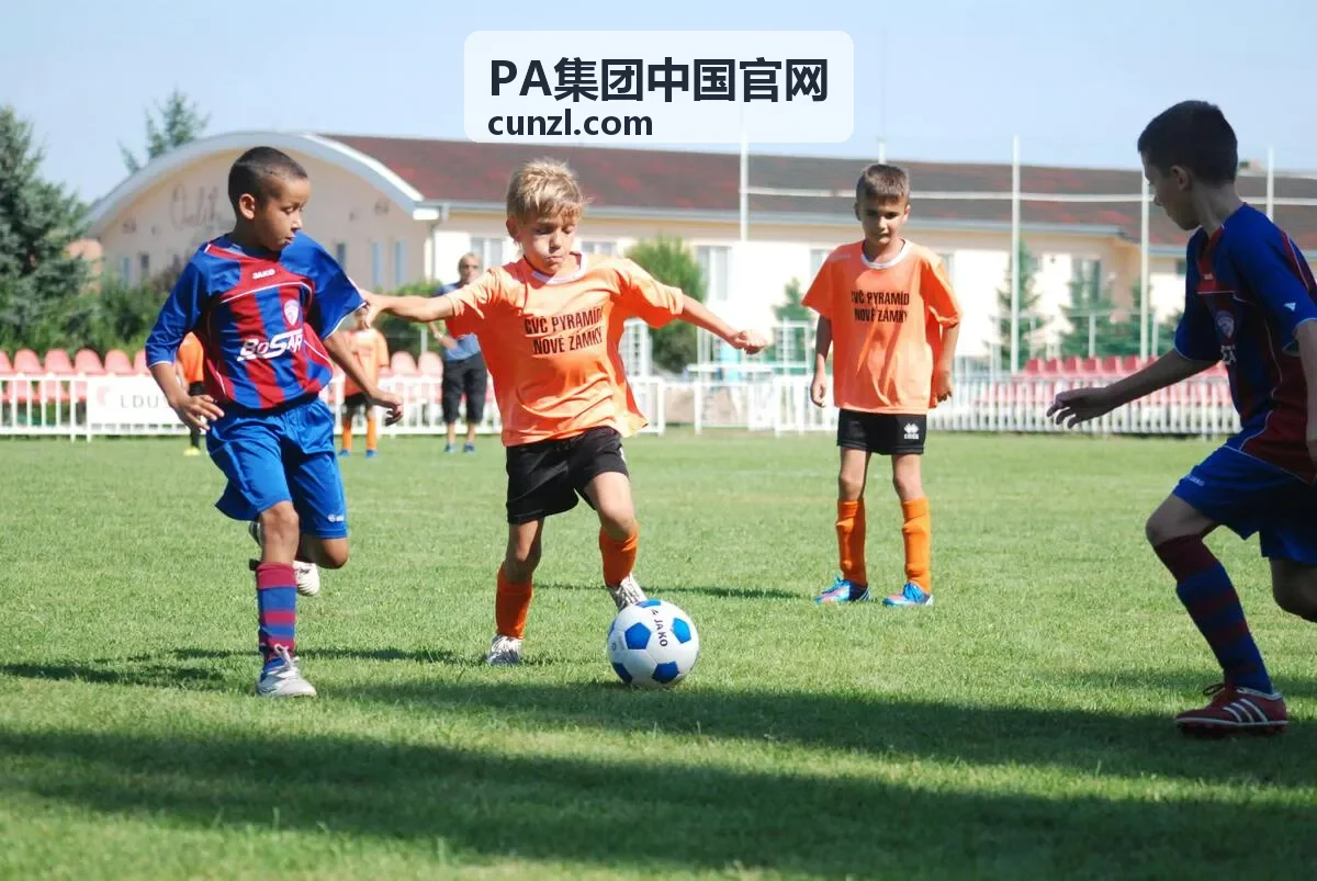 PA集团能源数字方案